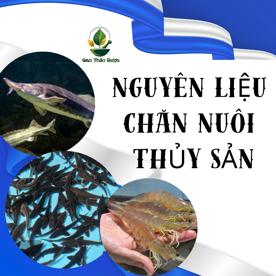 THỦY SẢN