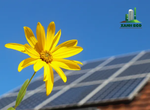 Điện mặt trời cho nông nghiệp sự lựa chọn tôt và thông minh