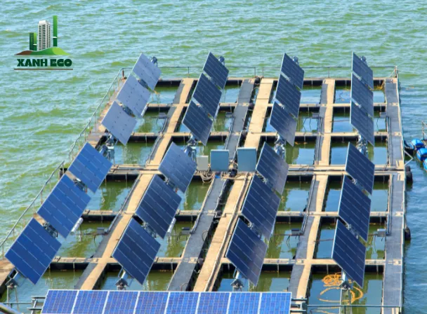 Nâng cao hiệu quả kinh doanh với điện mặt trời cho sản xuất 